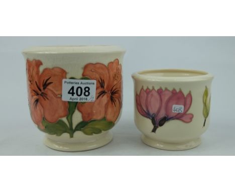 Moorcroft hibiscus jardinare height 12.5cm (crazed) and smaller Magnolia planter (2)