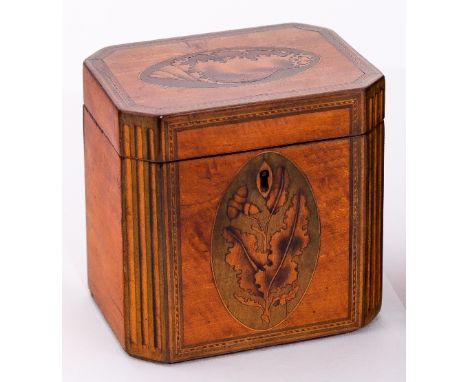 A late 18th Century satinwood tea caddy, with cable borders and inlaid canted sides, an oval shell patera to the top and oak 
