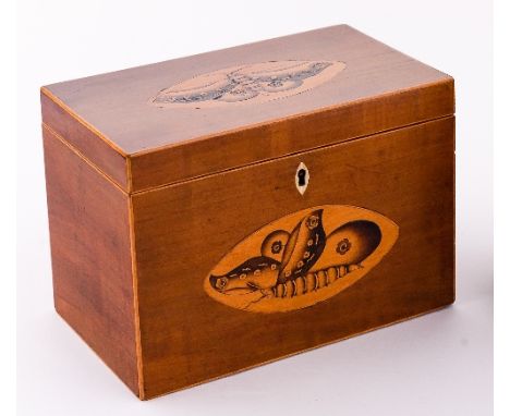 A George III satinwood rectangular tea caddy with boxwood strung borders and butterfly paterae to the cover and front, having
