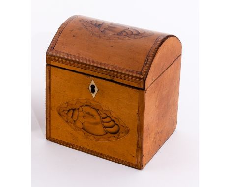 A George III satinwood tea caddy, with cross banded borders to the dome top and front both inlaid an oval shell patera, 12.5c