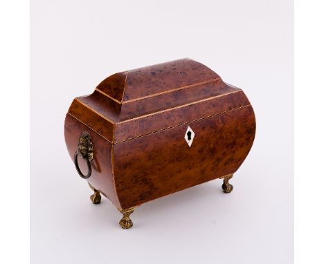 A Regency yew wood sarcophagus shaped tea caddy, with box wood stringing and ivory diamond shaped escutcheon, having gilt lio