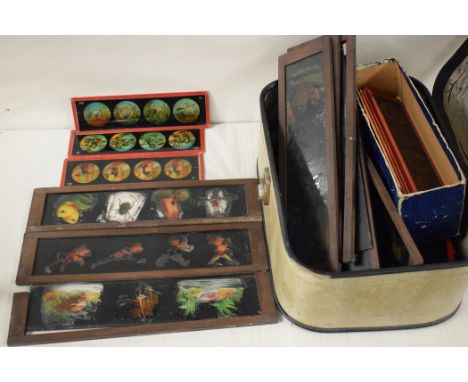 Early 20th Century nursery lantern slides, mostly coloured.