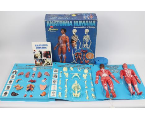 Human Anatomy - Anatomia Humania by Serima. A rare Spanish plastic 1:5 scale, human anatomy model. Boxed with whitening at ed