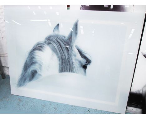 20TH CENTURY PHOTO PRINT, of a horse on acrylic, 160cm x 120cm.