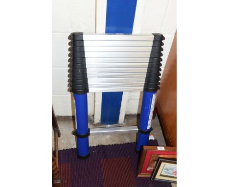 COLLAPSIBLE LADDER