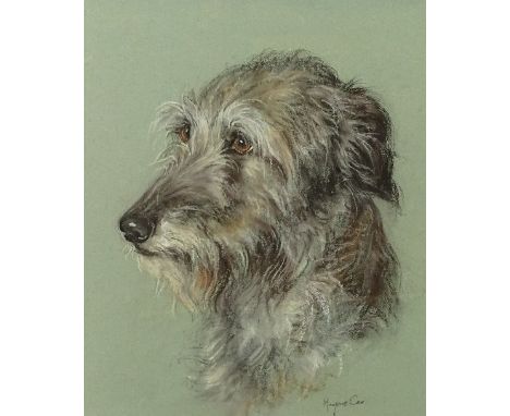 Marjorie Cox (1915-2003)'Portrait of a Deer Hound'Pastel, signed, with Aitken Dott label verso, 44 x 34cm   CONDITION REPORT: