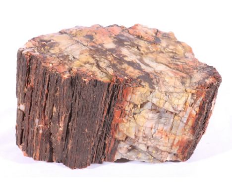Petrified or fossil wood segment with marbled veining, 27cm
