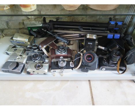 A collection of 12 cameras, including a Voigtlander Prontor 125,  Canon T80, Zenit-E, Olympus 35 RC, with some accessories in