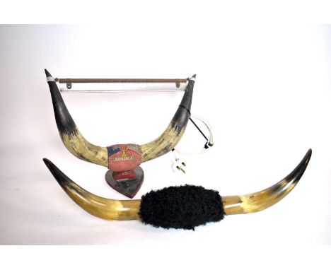 A quirky vintage bull horn wall light, with central red upholstered mount inscribed ‘Kingston Jamaica’, on shield shaped wall