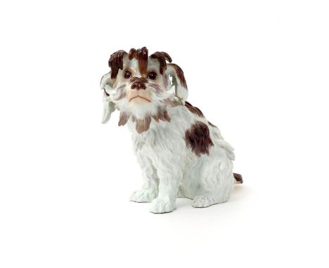 A Meissen figure of a Bolognese Terrier  19th century, after the model by J J Kändler, seated on its haunches with head sligh