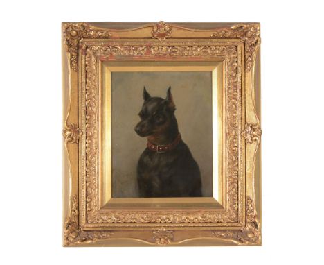 Attributed to Thomas Faed Head portrait of a Manchester terrier with a red collar Oil on board 27 x 22cm (10 5/8 x 8 5/8in.)