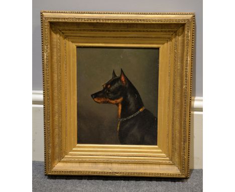 British School (19th/20th century) Head portrait of a Manchester Terrier Oil on board Indistinctly signed [B. Lider] lower le