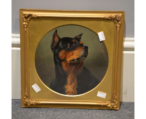 Attributed to George Earl Head portrait of a Manchester Terrier Oil on board Circular 22 x 22cm (8 5/8 x 8 5/8in.)