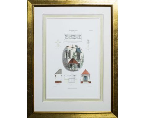 Set of two prints of topographical detail 1868 Architectural Prints Worcester Lodge Middleton Road Holloway Arch Truefitt and