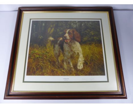Frederick J. Haycock, a limited edition sporting print entitled "Springer Spaniel", signed in pencil by the artist no. 254/35
