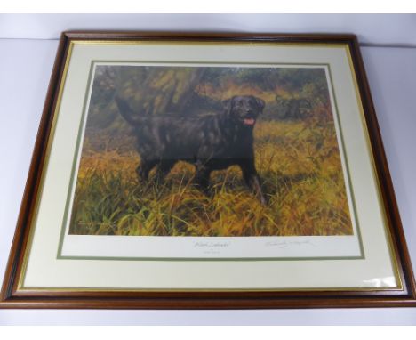 Frederick J. Haycock, a limited edition sporting print entitled "Black Labrador", signed in pencil by the artist no. 182/350,