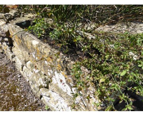 An Antique Rectangular Stone Trough, approx 30 x 48 x 120  cms long.