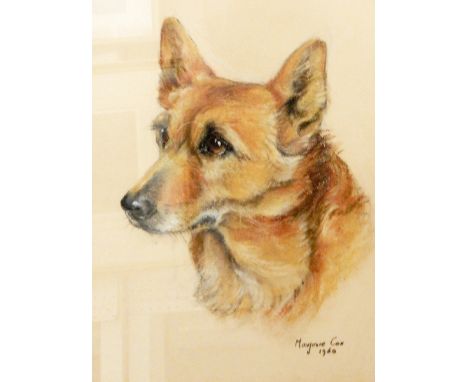 Marjorie Cox (British, 1915-2003) Pastel studyPortrait study of a corgi, signed lower right and dated 1960, 35cm x 27.5cm 