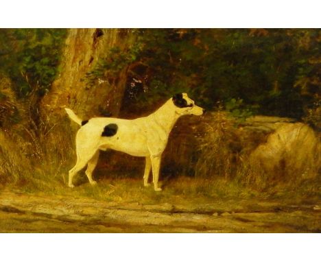 Arthur Wardle (1860-1949) Oil on canvas Portrait of a Jack Russell terrier, signed lower left, 33.5cm x 48.5cm (unframed)