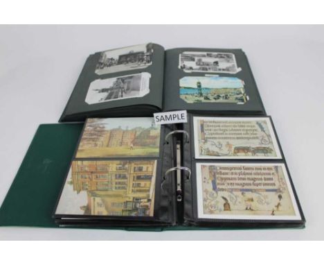 Two boxes containing a large quantity of postcards in 16 albums, mostly modern cards 1960s to 1990's period, themes include h