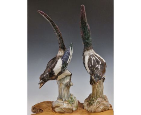 A PAIR OF MEISSEN FIGURES OF MAGPIES CALLING FROM TREE TRUNK PERCHES, CROSSED SWORDS MARKS.&nbsp; &nbsp;H 52cms.
