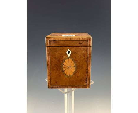A 19th C. YEW WOOD SINGLE COMPARTMENT TEA CADDY, THE HINGED LID WITH CROSS BANDING ENCLOSING THE CENTRAL OVAL PATERA