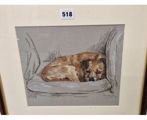 PETER BIEGEL (1913-88), ARR A TERRIER CURLED UP ON A SOFA, PASTEL, SIGNED LOWER RIGHT AND DATED '46. 23 x 25.5cms.