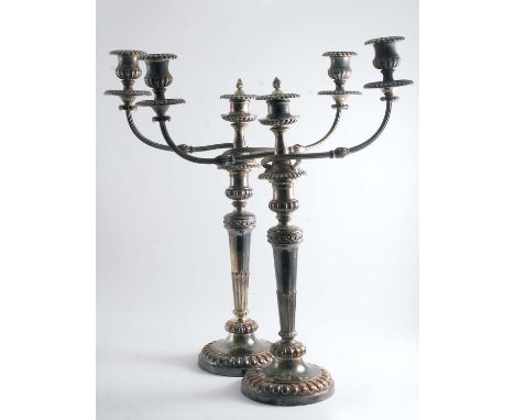 A PAIR OF EARLY 19TH CENTURY OLD SHEFFIELD PLATED THREE-LIGHT CANDELABRA with part-fluted tapering columns, ovolo borders, ro