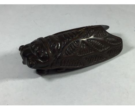 A Japanese edo period boxwood netsuke carved in the form of a Cicada fly, 6cm long (af) 