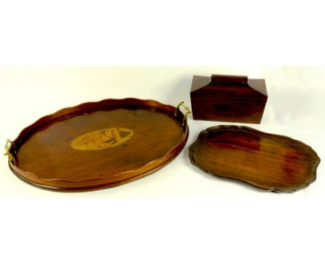 AN EARLY VICTORIAN MAHOGANY TEA CADDY OF SARCOPHAGUS SHAPE AND TWO MAHOGANY TRAYS, ONE WITH BRASS HANDLES