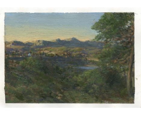
	
		Martin Greenland
		Cordoba of the Mind (Sunset), 2021
		Oil on Paper
		Signed on verso
		10 x 15cm (3¾ x 5¾ in.)
		
		AB