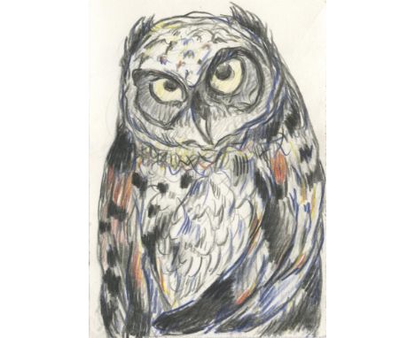 
	
		Kate McCrickard
		Owl, 2021
		Conté Coloured Pencil on Paper
		Signed on verso
		15 x 10cm (5¾ x 3¾ in.)
		
		After comp