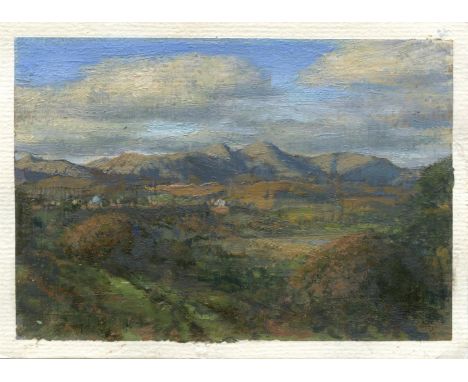 
	
		Martin Greenland
		Cordoba of the Mind (An Afternoon in Autumn), 2021
		Oil on Paper
		Signed on verso
		10 x 15cm (3¾ x