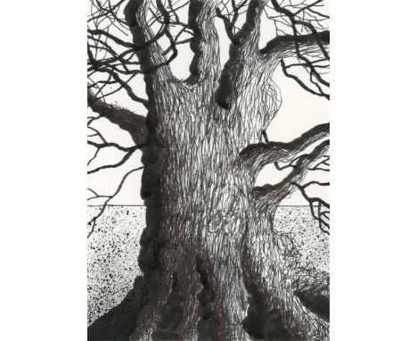 
	
		Simon Palmer
		Old Oak, 2021
		Pen and Ink on Paper
		Signed on verso
		15 x 10cm (5¾ x 3¾ in.)
		
		Simon Palmer is an 