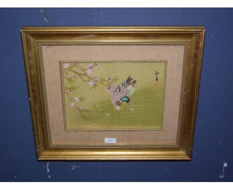Gilt framed Japanese wildlife study on silk, portrait of a mallard duck &amp; blossom tree 