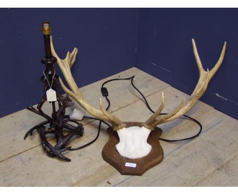 Antlers mounted on shield, and a decorative antlers style table lamp 