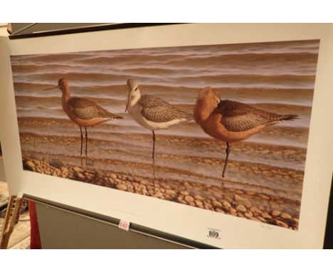 Chris Rose limited edition unframed print of wading birds 89 x 39 cm 
