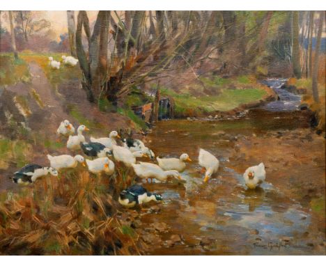 Franz Grässel (Obersasbach/Baden 1861 - Emmering 1948). Enten am Bach. Öl/Lw. 63 x 83,5 cm. R. u. sign. Franz Gräßel.   - Deu
