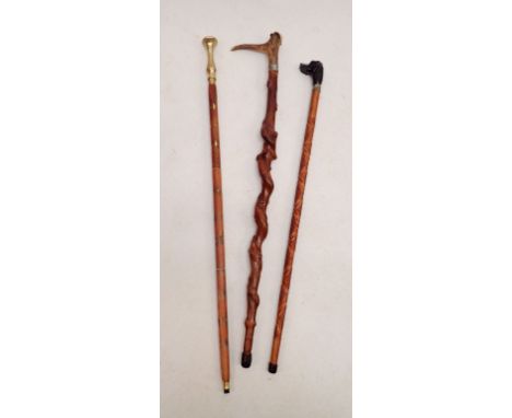 A dogs head walking cane, a horn handled rustic walking stick and one other