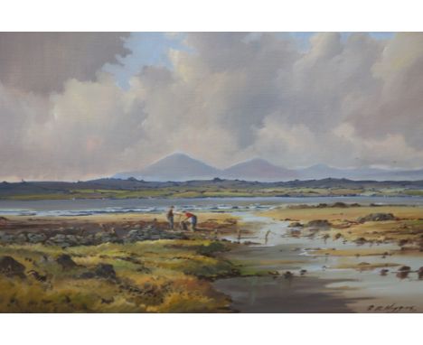 R B HIGGINS, IRISH SCHOOL, 20th CENTURYSeaweed Gathering StrangfordSigned lower left, signed and titled versoOil on canvas51c