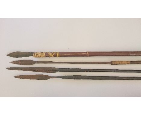 A blow pipe and two African Belgium Congo spears. 