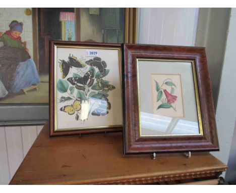 A 19th Century hand coloured print of butterfly's and caterpillars and another of flowers