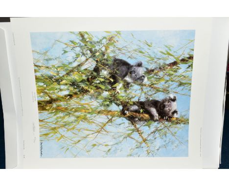 DAVID SHEPHERD (BRITISH 1931-2017) 'UP A GUM TREE' a limited edition print of a pair of Koala Bears 148/950, signed and numbe