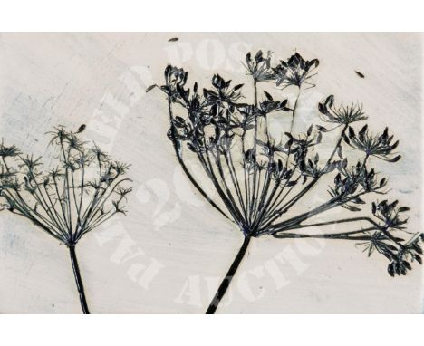 Fennell Seed Heads - clay/ceramic tile