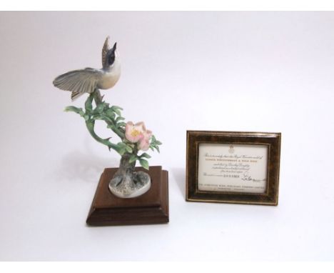 A Royal Worcester model of a lesser whitethroat and wild rose by Dorothy Doughty, limited edition number 203/500 together wit