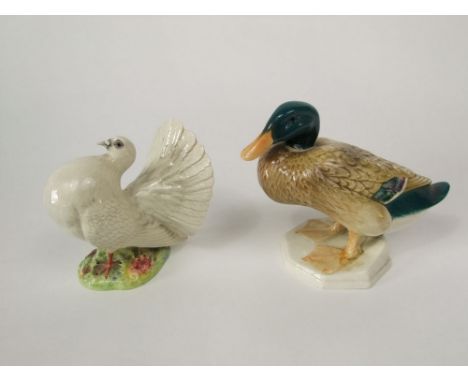 A Beswick model of a fan tailed dove with impressed number to base 1614, together with a Beswick model of a mallard, impresse