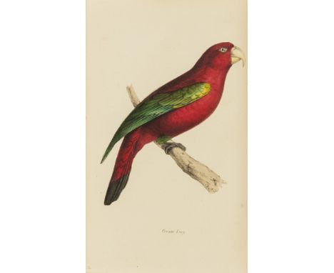 Swainson (William) Zoological Illustrations, 6 vol. (ie 1st and 2nd series), 318 lithograph plates, all but one hand-coloured