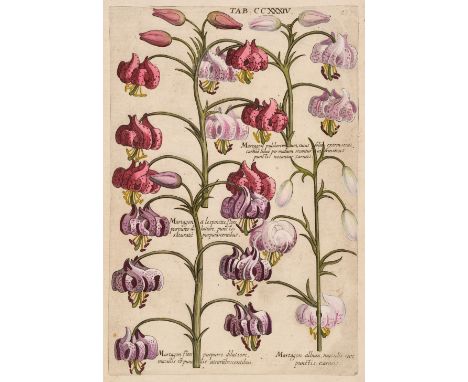 * Natural History. A Collection of approximately 80 prints &amp; engravings, 18th &amp; 19th century, engravings and lithogra