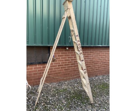 Vintage ladder with original paint work and Knock and co lettering.