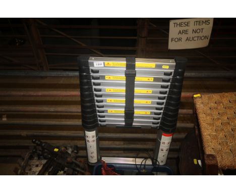 A telescopic extending ladder 